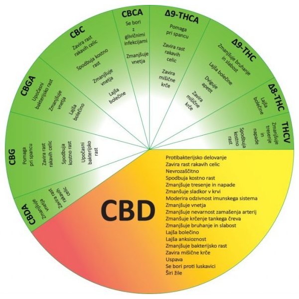 Gotas de CBD de Hempethica