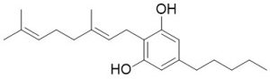 Kaj so kanabinoidi in kako delujejo? | Hempethica | Drops of Nature CBG-Cannabigerol